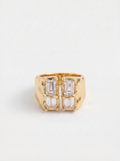 DARYA'S RING
